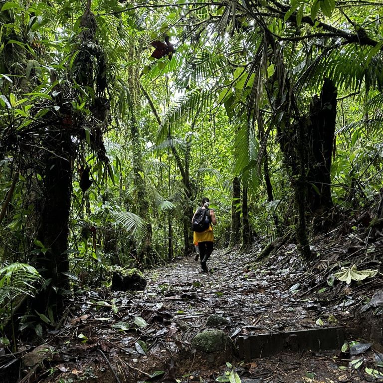Woman walking in Rainforest