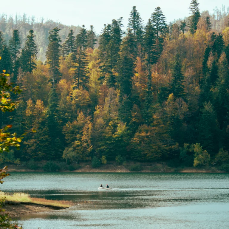 couple on boat onlike in Fall forest