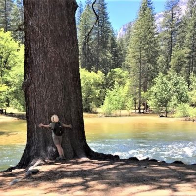 Person hugging a tree by a river