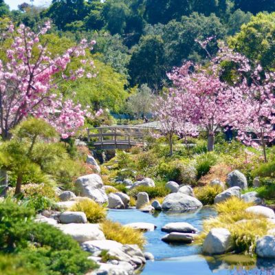 Serene Spring Garden with Creek